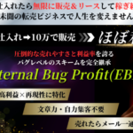 エターナルバグプロフィット(石崎真帆)のレビュー(翌日10万円を稼ぐ)
